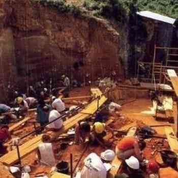 Atapuerca 1: trabajos en la Gran Dolina